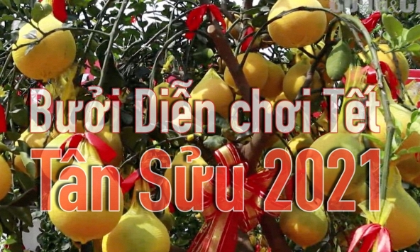 Bưởi Diễn chơi Tết đổ bộ về TP.HCM, giá hàng chục triệu khách vẫn chi tiền đặt cọc sớm