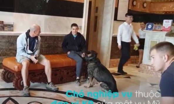 Chó nghiệp vụ của Mỹ 'khảo sát' đường phố Đà Nẵng