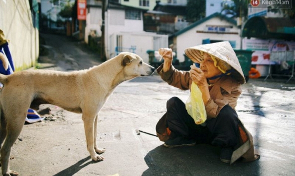 Cụ bà 83 tuổi bầu bạn và nuôi chim trời, chó mèo nơi phố núi Đà Lạt