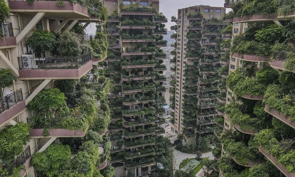 Cư dân Trung Quốc xa lánh chung cư 'thiên đường sinh thái' vì… muỗi