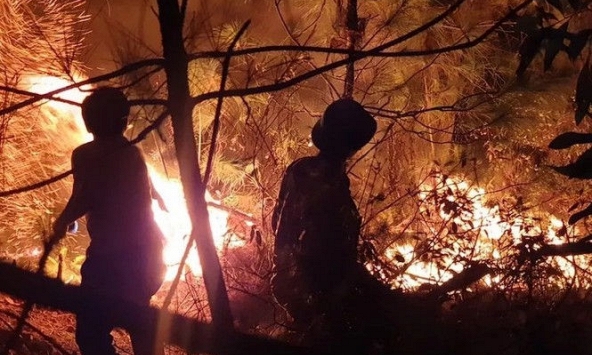 Hàng nghìn người trắng đêm dập lửa cứu rừng Nghệ An