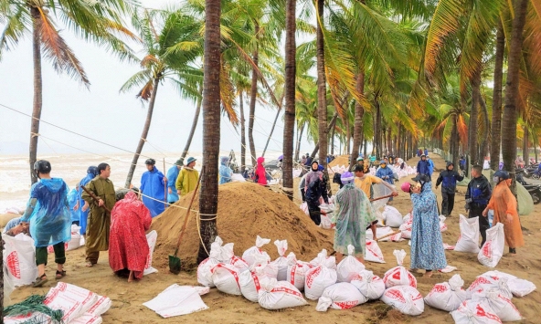 Hàng trăm người dân Hội An đội mưa 'cứu' bờ biển Cửa Đại, chạy đua với bão số 8