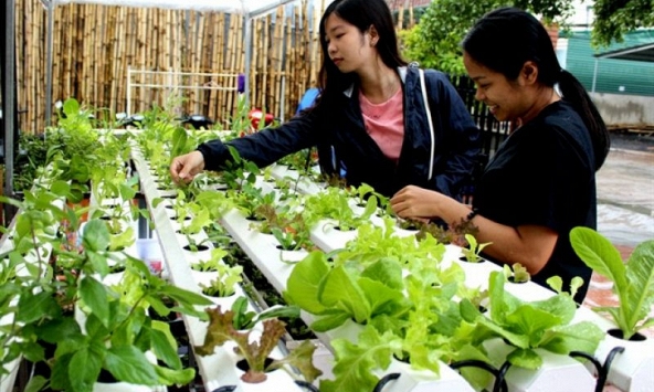 Nét độc đáo mới lạ của quán cà phê rau đầu tiên tại Đắk Lắk