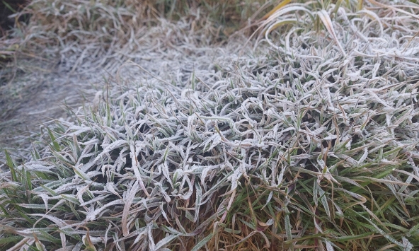 Nhiệt độ xuống - 3 độ C, băng tuyết phủ trắng núi rừng Fansipan