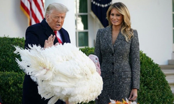 Ông Trump làm lễ xá tội gà tây tại Nhà Trắng