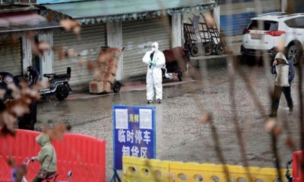 Phát hiện lượng lớn virus corona ở chợ hải sản Vũ Hán