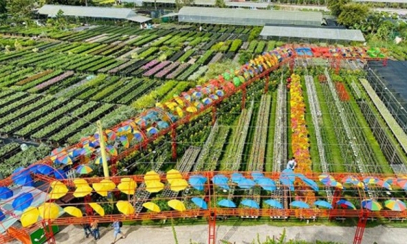 Làng hoa lớn nhất Đồng bằng sông Cửu Long chuẩn bị hàng phục vụ Tết