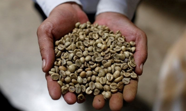 Nguồn cung trong nước khan hiếm, giá cà phê Việt Nam lên mức 34.000 đồng/kg