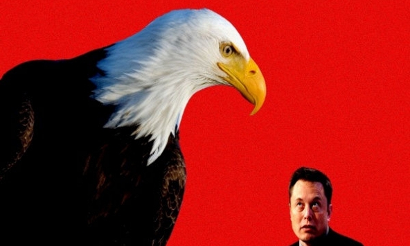 Elon Musk bị điều tra vì cáo buộc thao túng tiền điện tử