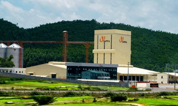 Ngành chăn nuôi heo của Việt Nam giúp công ty thức ăn gia súc Hà Lan lãi 'khủng' trong năm 2020