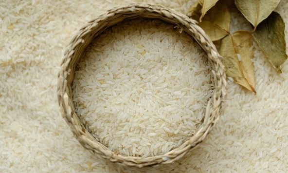 Nguồn cung tăng đẩy giá lúa gạo giảm 