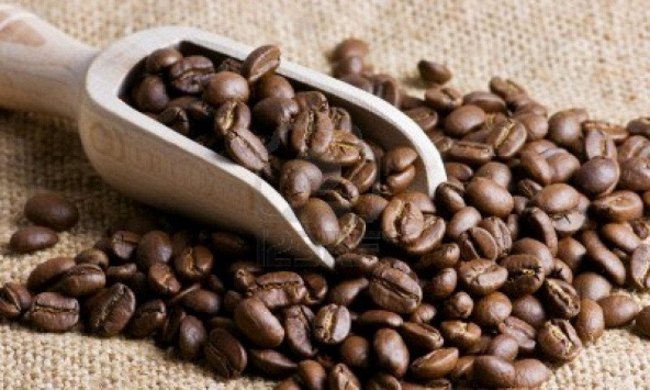 Giá cà phê Tây Nguyên tăng 400 đồng/kg