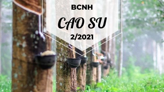Báo cáo ngành hàng cao su tháng 2/2021: Xuất khẩu sang Hàn Quốc giảm