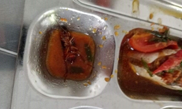 Học sinh ở TP.HCM phát hiện có gián trong suất ăn 27.000 đồng