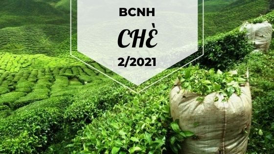 Báo cáo ngành hàng chè tháng 2/2021: Xuất khẩu giảm