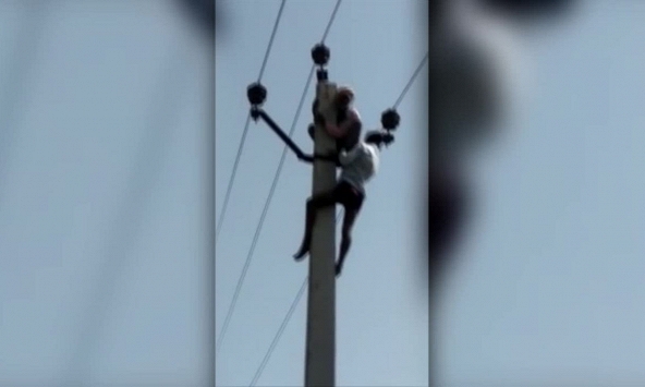 Bị phản đối tái hôn, người đàn ông 60 tuổi leo cột điện tự tử