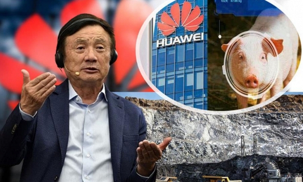 Sau khi lấn sân nuôi heo, tập đoàn Huawei tiếp tục nuôi cá bù lỗ cho mảng công nghệ