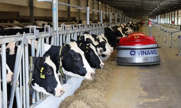 Xuất khẩu sữa của Việt Nam năm 2020 cao kỷ lục