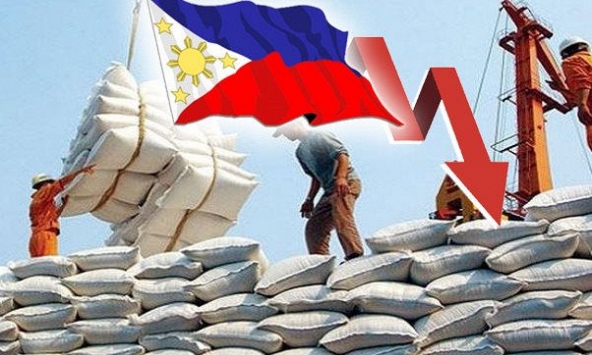 Xuất khẩu gạo sang Philippines giảm đến 49% trong tháng 2/2021