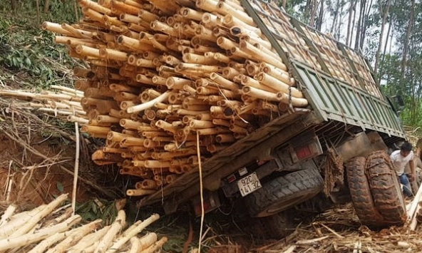 Tai nạn giao thông làm 7 người thiệt mạng ở Thanh Hóa