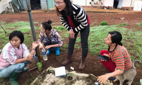 Bà chủ nông trại rau hữu cơ Happy Vegi hướng dẫn cách trồng rau sạch giữa lòng Sài Gòn 