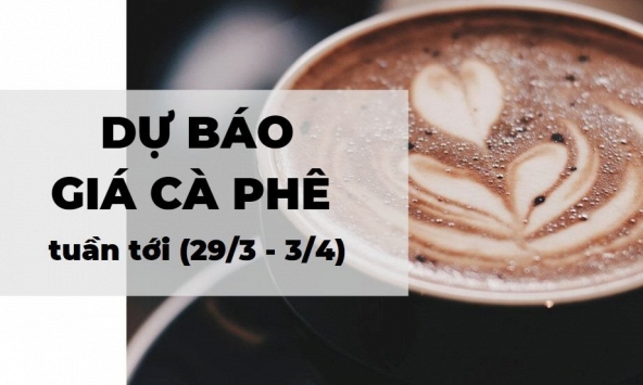 Dự báo giá cà phê tuần tới (29/3 - 3/4): Nguồn cung thấp, tiêu thụ tiếp tục giảm vì COVID-19