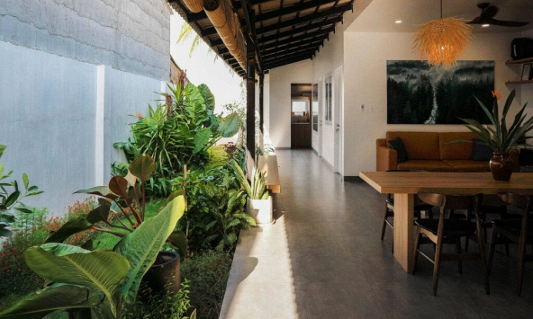 Ngôi nhà xanh ở xứ nóng Tây Ninh