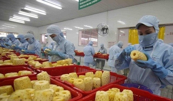 Việt Nam đặt mục tiêu xuất khẩu rau quả trị giá 10 tỷ USD