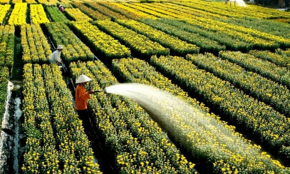 Thủ tướng nhất trí vay 2 tỷ USD cho phát triển Đồng bằng sông Cửu Long