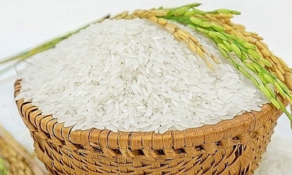 Nguồn cung gạo trong nước dồi dào, sức mua giảm