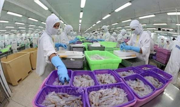 Kiểm soát dịch bệnh COVID-19 tốt giúp thu thuế xuất nhập khẩu khởi sắc