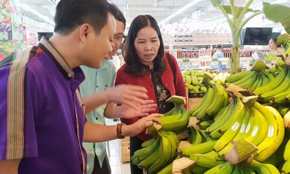 Thị trường thực phẩm 6/4: Chuối Nam Mỹ rớt giá xuống 6.000 đồng/kg