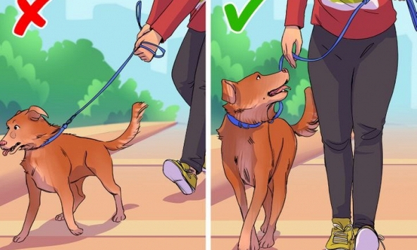 8 sai lầm khi đi bộ mà chúng ta vô tình tạo nên