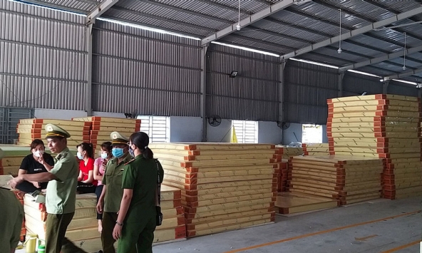 Phát hiện lượng lớn nệm Thắng Lợi giả