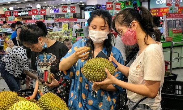 Sầu riêng ruột đỏ từ 250.000 - 350.000 nghìn đồng/kg hút người mua