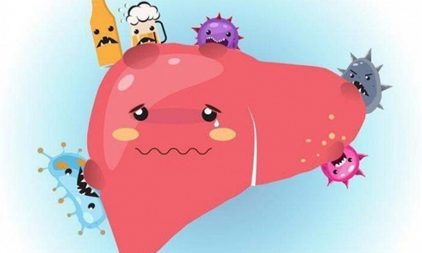 6 dấu hiệu cho thấy gan của bạn đang làm việc quá tải