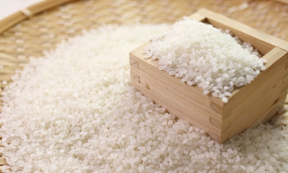 Gạo xuất khẩu Việt Nam gặp khó do khan hiếm container