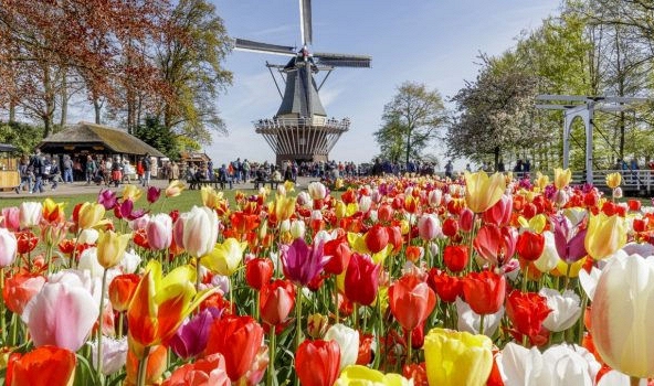 Chiêm ngưỡng cảnh sắc ngoạn mục trong vườn hoa rộng nhất thế giới