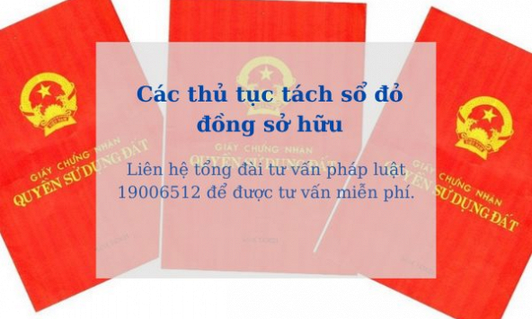 Sang tên sổ đỏ đất đồng sở hữu cần lưu ý gì?