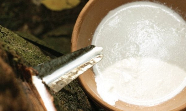 Giá cao su tăng nhờ kinh tế Trung Quốc 