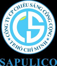 CHS: Báo cáo tài chính quý 1/2021