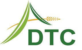 DTC: Báo cáo tài chính quý 1/2021