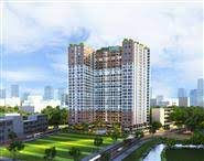 BMS: Báo cáo tài chính quý 1/2021