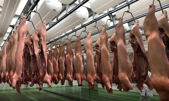 Lợi dụng dịch bệnh, người nuôi tiếp tục bị thương lái ép giá