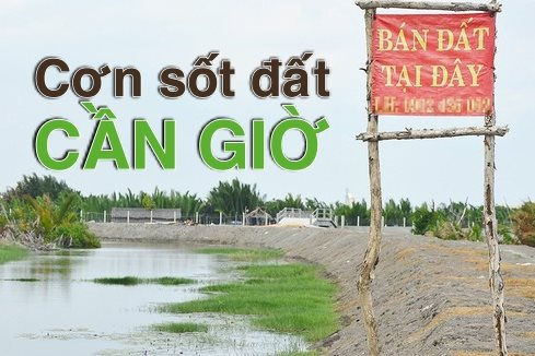 Tăng đến 300%, điều gì tạo nên 'cơn sốt đất' ở Cần Giờ?