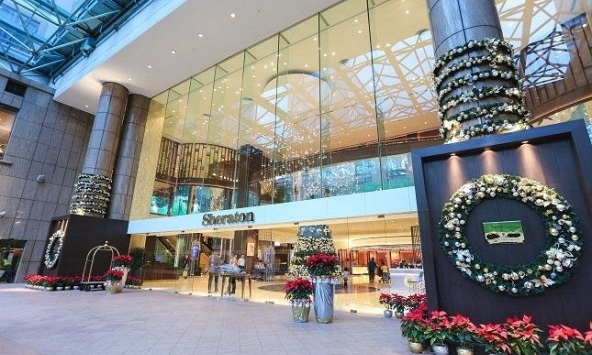 Dịch vụ khách sạn trông chờ vào khách nội địa để 'cầm hơi'