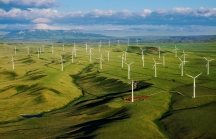 DL1: Báo cáo tài chính năm 2020 (Công ty mẹ)