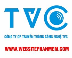 TVC: Báo cáo tài chính quý 1/2021