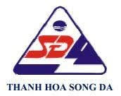 THS: Báo cáo tài chính quý 1/2021