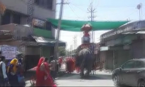 Chú rể cưỡi voi đi đón dâu thời COVID-19 ở Ấn Độ